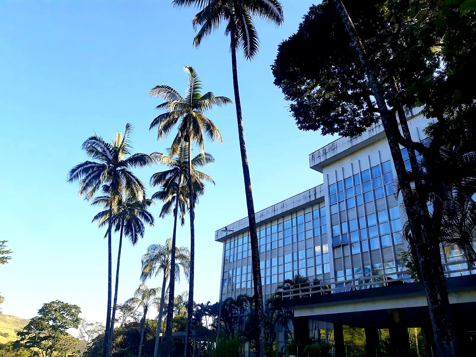 Inmetro lança campanha para a proteção da fauna e da flora no polo do Instituto Dr. Armênio Lobo da Cunha Filho, em Xerém