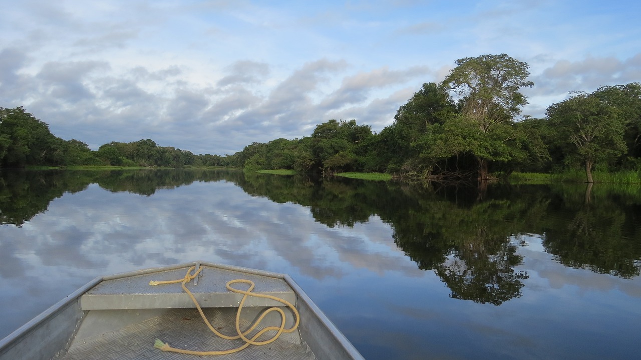 O5 de setembro: dia da Amazônia