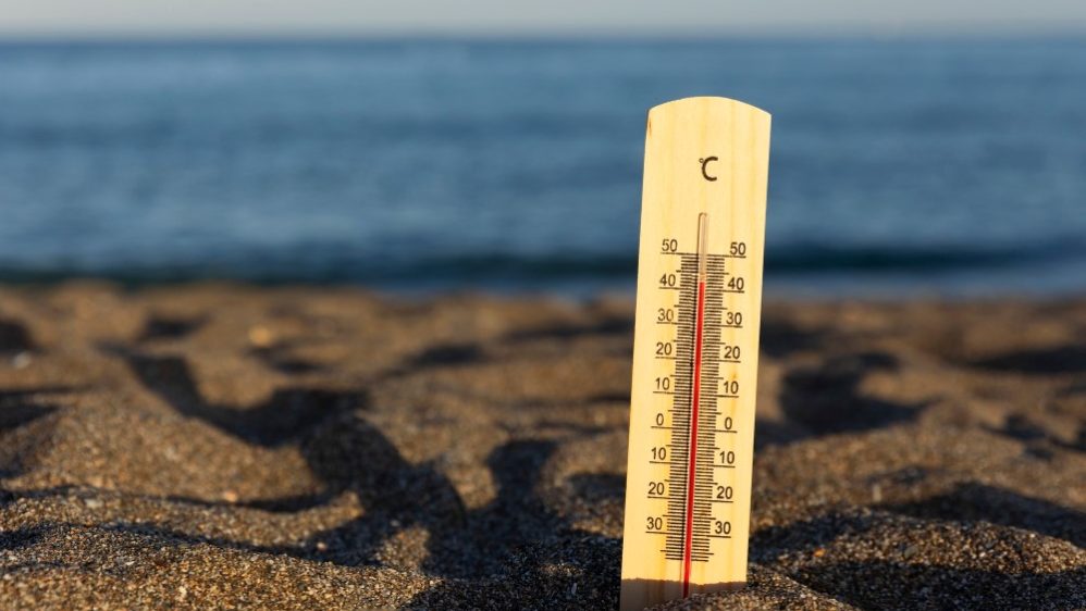 Mais de 70% dos sinais vitais da Terra estão em estado crítico por causa das mudanças climáticas, alerta pesquisa