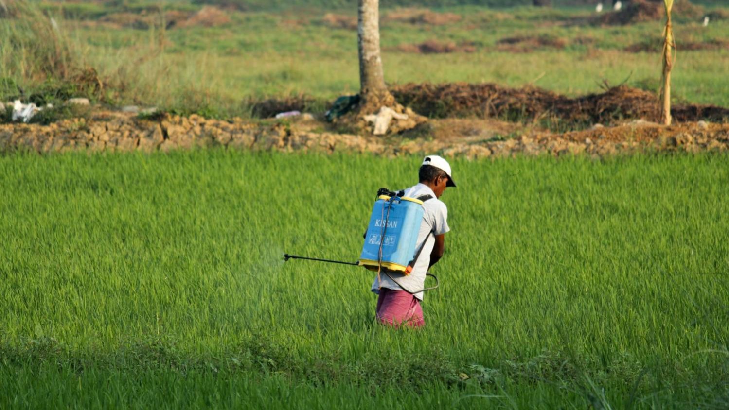 Estudo aponta relação entre agrotóxicos e risco aumentado de câncer em agricultores