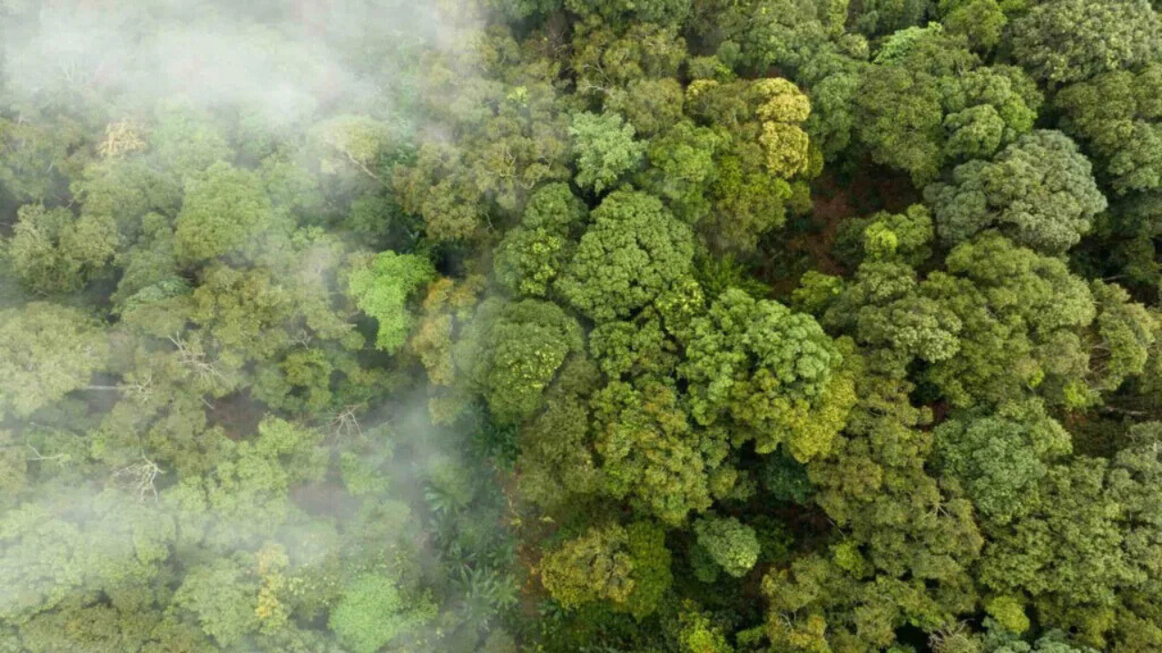 Duque de Caxias recebe etapa municipal de preparação da 5ª Conferência Nacional de Meio Ambiente