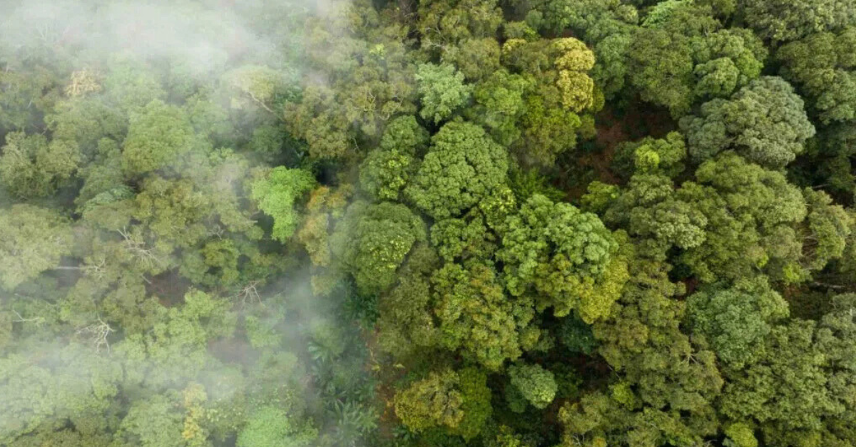 1º Fórum de Lazer e Turismo na Natureza em Xerém acontece nos dias 2 e 3 de abril na UFRJ em Duque de Caxias/RJ